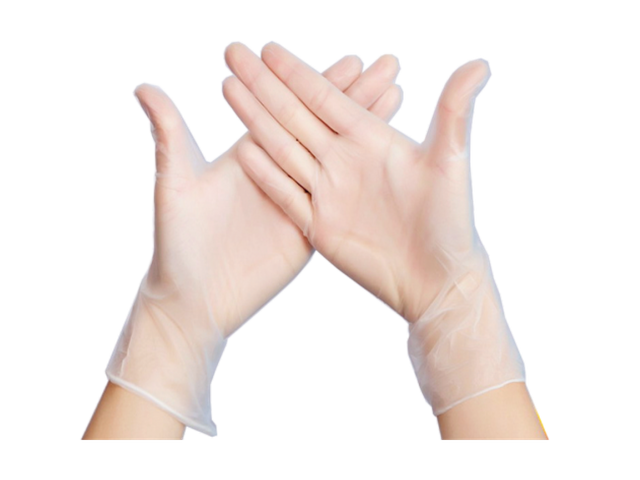 Vinyl Glove 